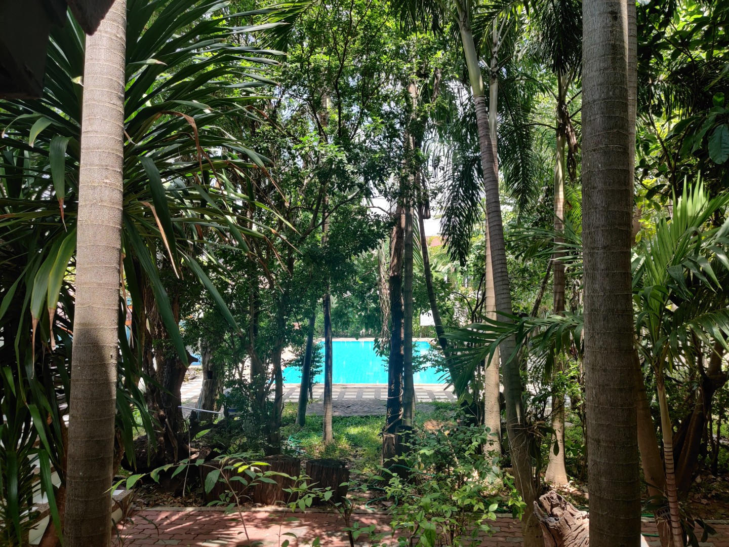 สระว่ายน้ำ